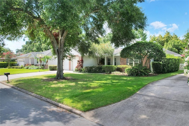 1145 Denton St, Lakeland, FL 33803 - obstructed view of property with concrete driveway, a garage, and a front yard