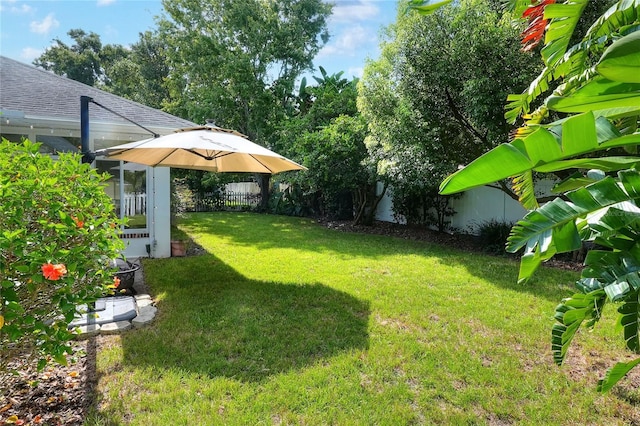 1145 Denton St, Lakeland, FL 33803 - view of yard
