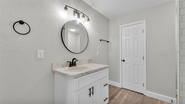 980 S Mill Ave, Bartow, FL 33830 - bathroom with vanity and wood finished floors