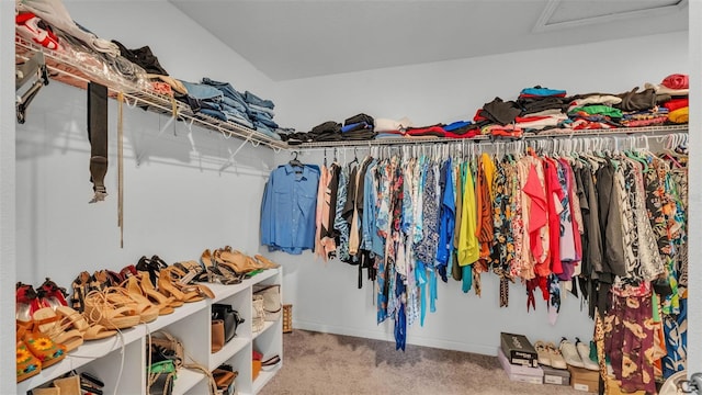 1125 Mattie Pointe Blvd, Auburndale, FL 33823 - walk in closet with carpet floors and attic access
