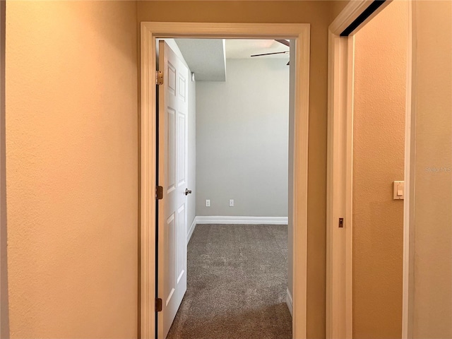 14 Morton Rd, Winter Haven, FL 33881 - photo 20