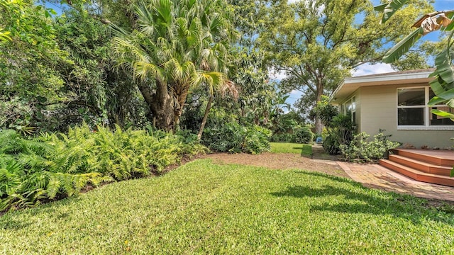 4219 Forest Hills Dr, Lakeland, FL 33813 - view of green lawn