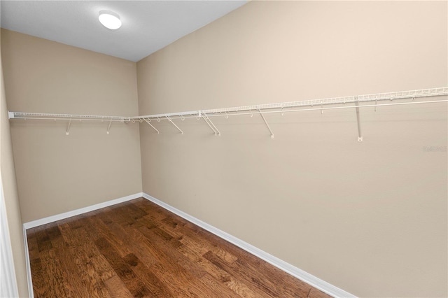 228 Magneta Loop, Auburndale, FL 33823 - walk in closet with dark wood-style floors