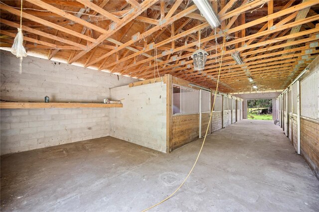 12135 Knights Griffin Rd, Thonotosassa, FL 33592