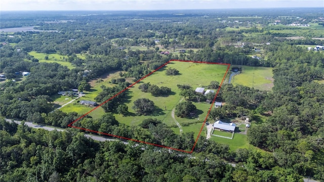 12135 Knights Griffin Rd, Thonotosassa, FL 33592