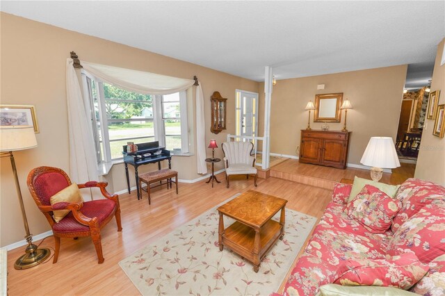 3315 Cross Fox Dr, Mulberry, FL 33860 - living area featuring wood finished floors