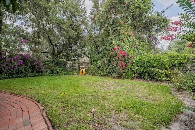 1589 Royal Forest Ct, Lakeland, FL 33811 - view of yard