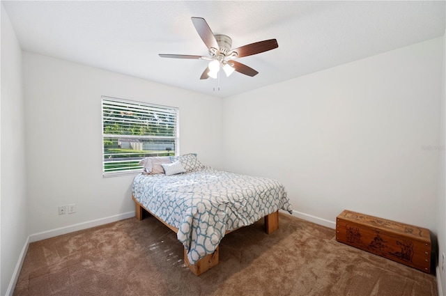 6507 Shadowbrook Run, Lakeland, FL 33813 - bedroom featuring carpet flooring and a ceiling fan