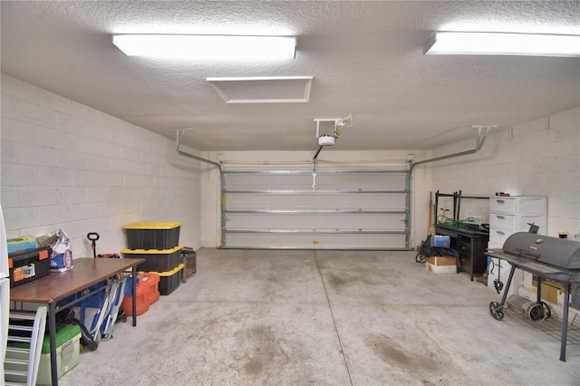 312 Walnut Ln, Auburndale, FL 33823 - garage with a garage door opener and concrete block wall