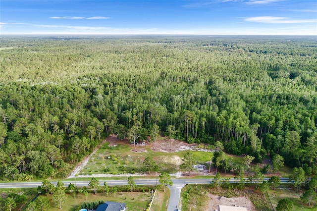 00 Green Pond Rd, Polk City, FL 33868 - photo 2