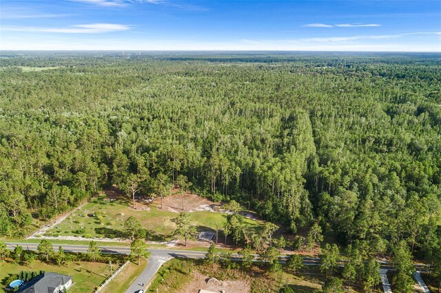 00 Green Pond Rd, Polk City, FL 33868 - photo 5