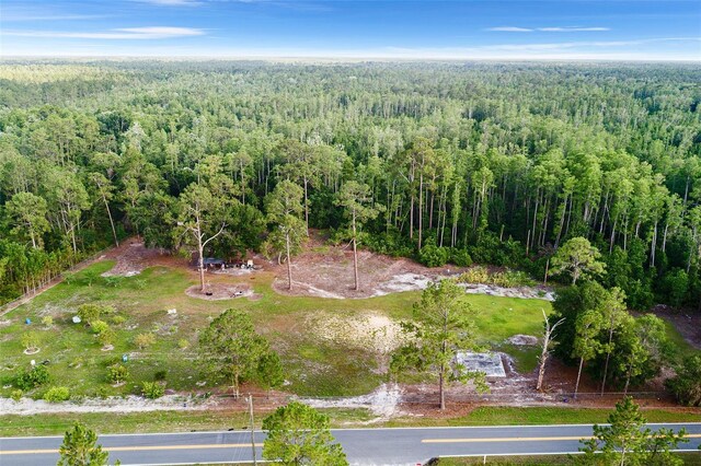 00 Green Pond Rd, Polk City, FL 33868 - photo 7