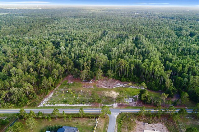 00 Green Pond Rd, Polk City, FL 33868 - photo 9