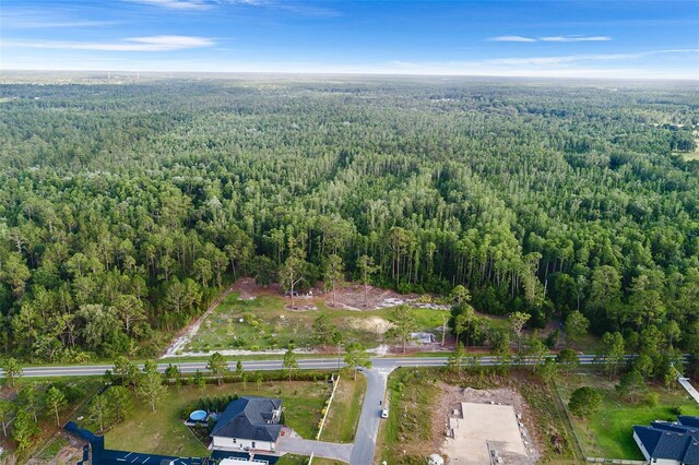 00 Green Pond Rd, Polk City, FL 33868 - photo 10