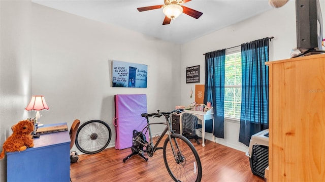 2817 High Winds Ln, Lakeland, FL 33813 - misc room featuring a ceiling fan, wood finished floors, and a desk