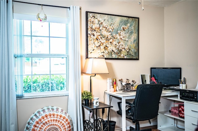 6920 Newman Cir E, Lakeland, FL 33811 - view of office