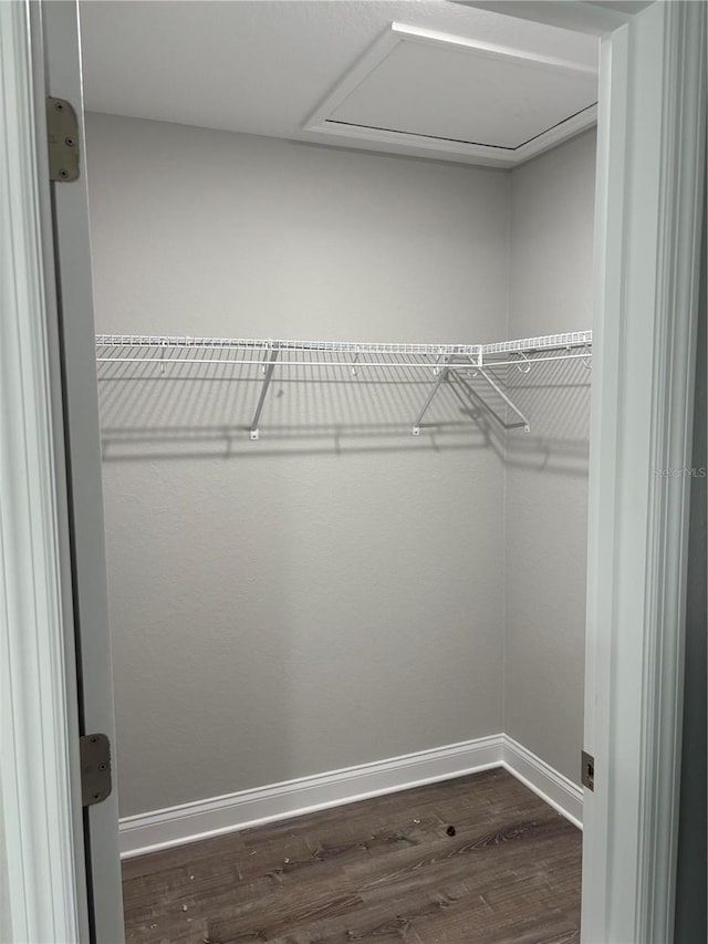 508 2nd St SW, Fort Meade, FL 33841 - spacious closet with dark wood-style flooring and attic access