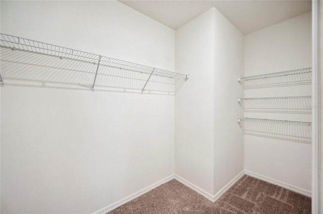 2062 Blue Highlands Dr, Lakeland, FL 33811 - photo 28