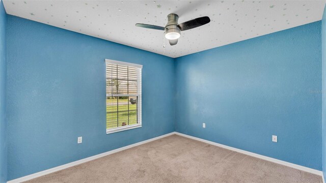 3787 Sandhill Crane Dr, Lakeland, FL 33811 - photo 21