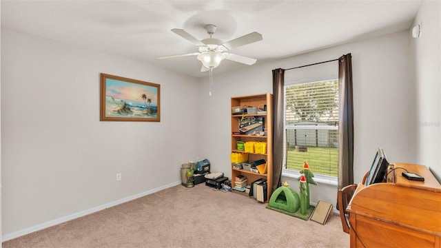 3787 Sandhill Crane Dr, Lakeland, FL 33811 - photo 25