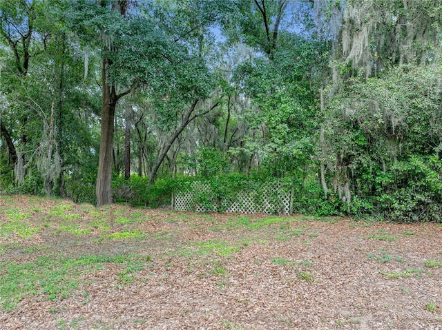 5522 1st St SE, Lakeland, FL 33812 - photo 55
