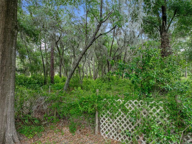 5522 1st St SE, Lakeland, FL 33812 - photo 57