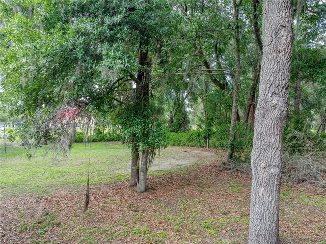5522 1st St SE, Lakeland, FL 33812 - photo 60