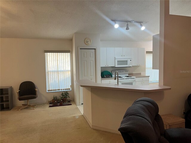 1011 Tequesta Trl, Lake Wales, FL 33898 - photo 6
