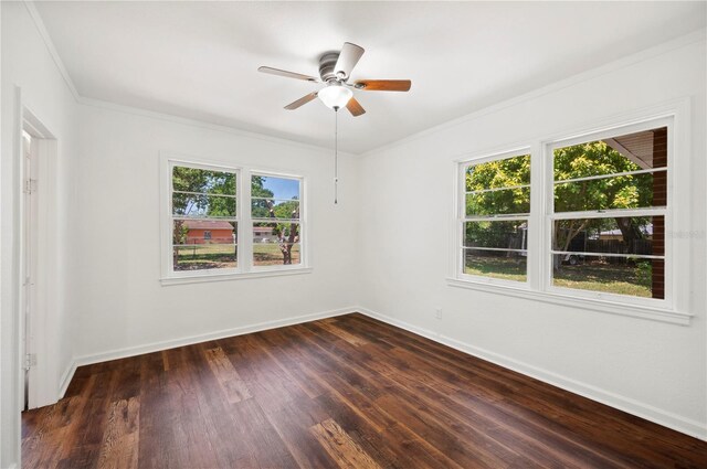 1830 Casco, Lakeland, FL 33801 - photo 6