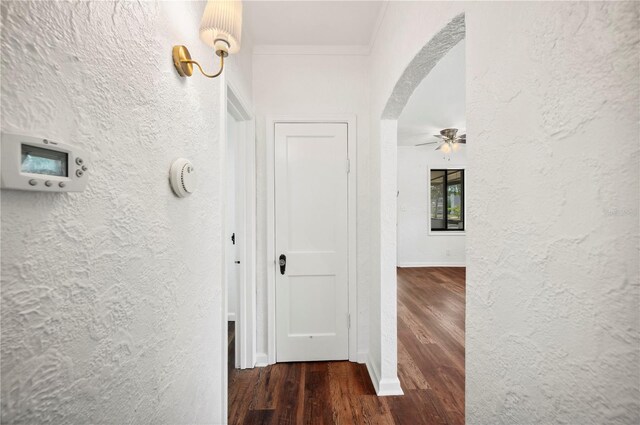 1830 Casco, Lakeland, FL 33801 - photo 10