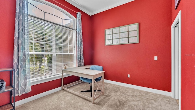 6757 High Grove Dr, Lakeland, FL 33813 - carpeted office space featuring healthy amount of natural light and crown molding