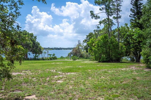 783 E Central Ave, Eagle Lake, FL 33839 - photo 33