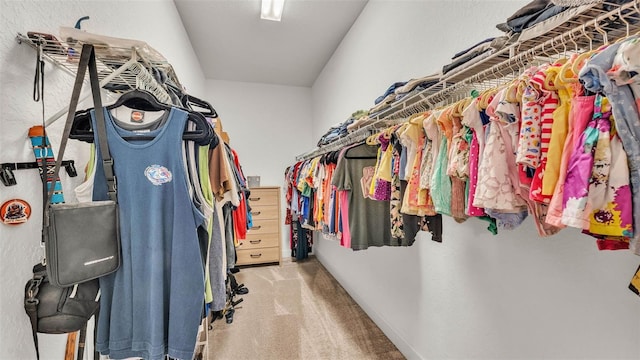 1028 15th St NE, Winter Haven, FL 33881 - walk in closet with carpet flooring