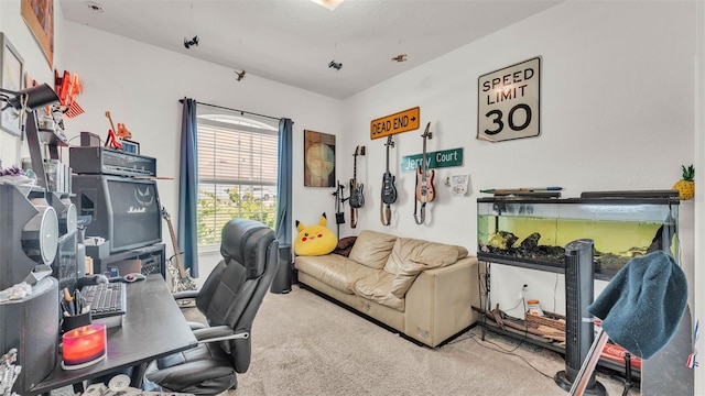 1028 15th St NE, Winter Haven, FL 33881 - view of carpeted home office