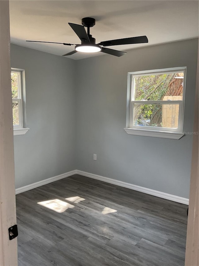 14002 Morgan St, Dade City, FL 33525 - photo 4