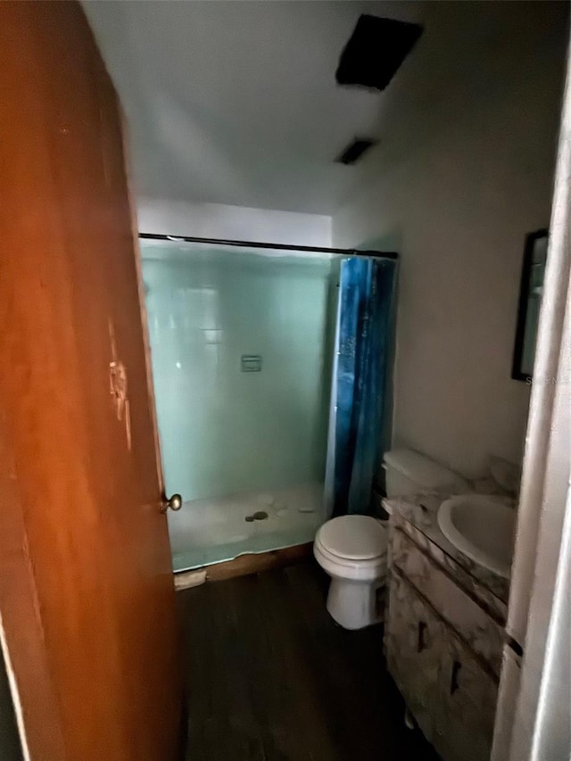 2921 Galaxy Ln, Lakeland, FL 33801 - bathroom with a stall shower, vanity, and wood finished floors