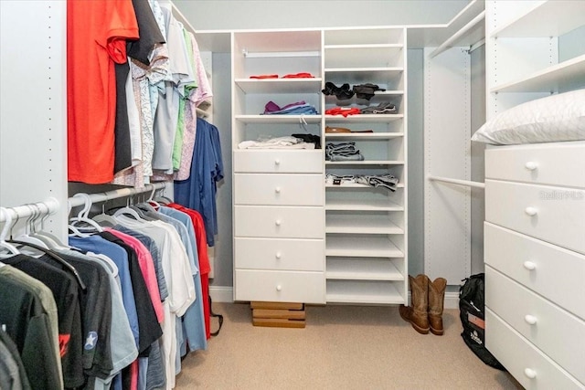 3608 54th Dr W Unit 202, Bradenton, FL 34210 - walk in closet with carpet