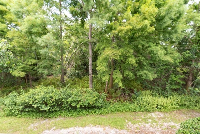 3608 54th Dr W Unit 202, Bradenton, FL 34210 - view of wooded area