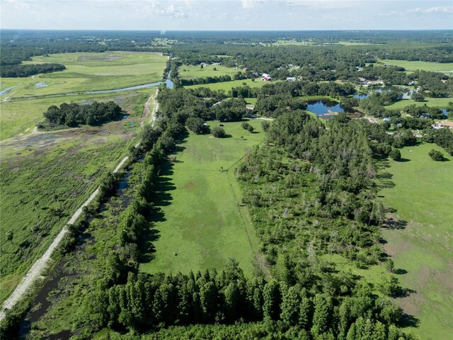 922 Giant Oak Rd, Lakeland, FL 33810 - photo 5