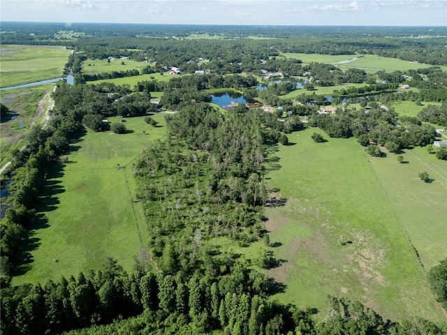 922 Giant Oak Rd, Lakeland, FL 33810 - photo 6