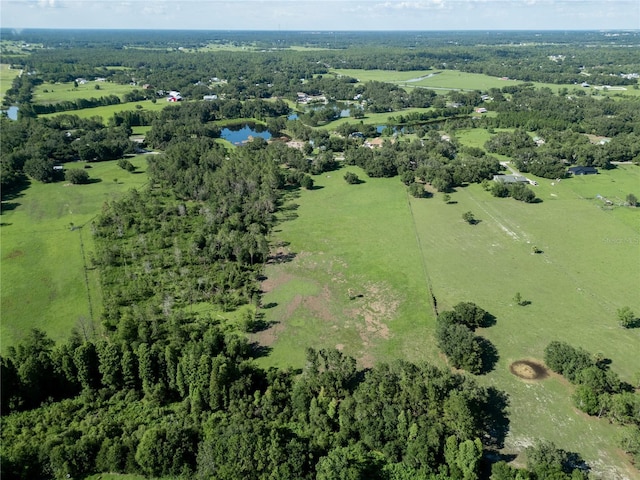 922 Giant Oak Rd, Lakeland, FL 33810 - photo 7