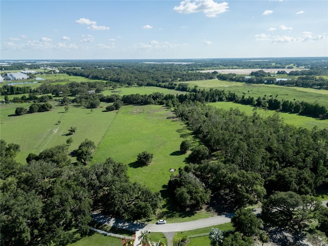 922 Giant Oak Rd, Lakeland, FL 33810 - photo 12
