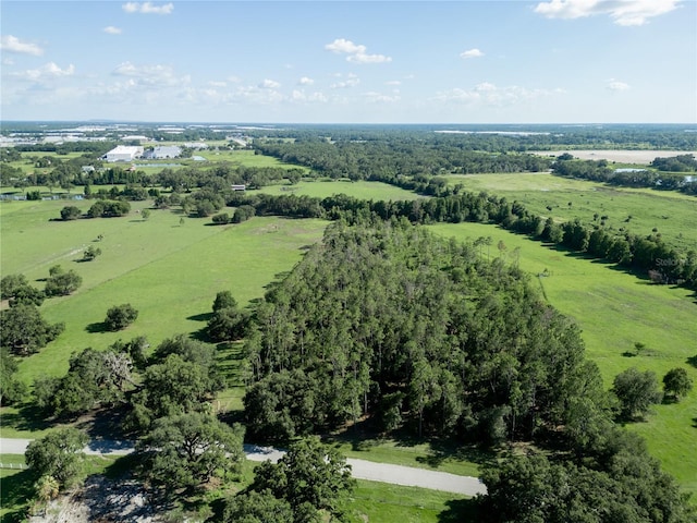 922 Giant Oak Rd, Lakeland, FL 33810 - photo 13