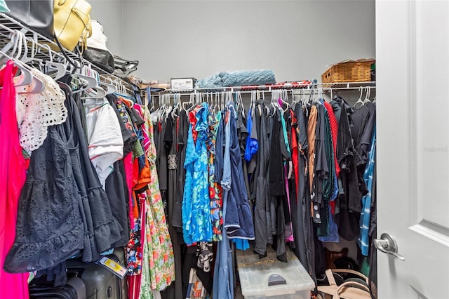 180 Azure Mist Way, Daytona Beach, FL 32124 - view of walk in closet