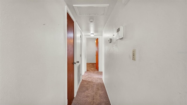 640 Forrest Dr, Bartow, FL 33830 - hallway featuring carpet