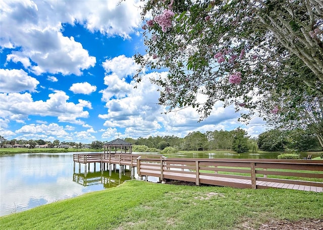 9017 SE 119th St, Summerfield, FL 34491 - photo 65