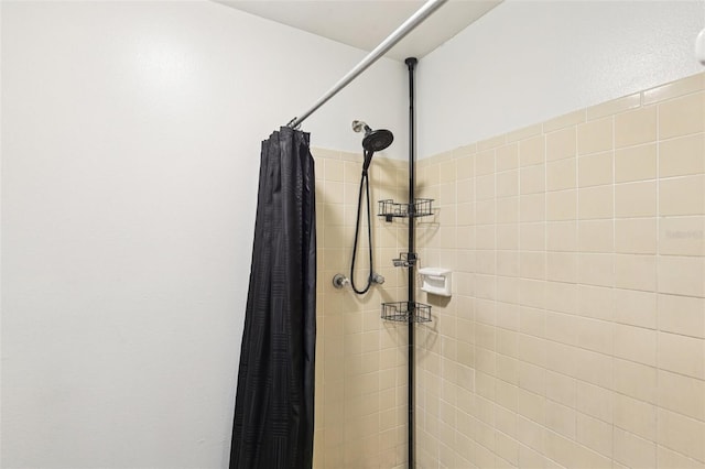 3854 Feather Dr, Lakeland, FL 33812 - bathroom view of a tile shower