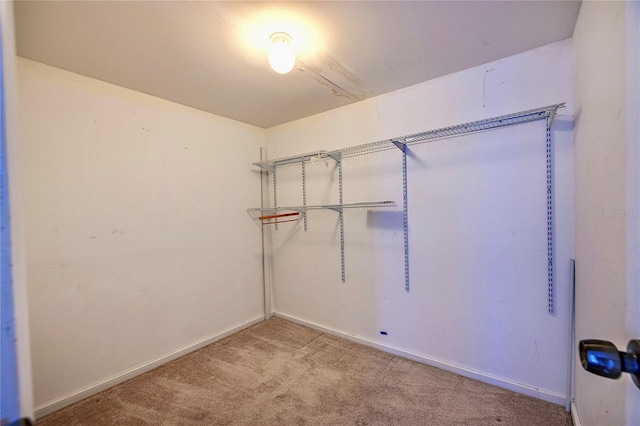 12212 Hidden Brook Dr, Tampa, FL 33624 - photo 22
