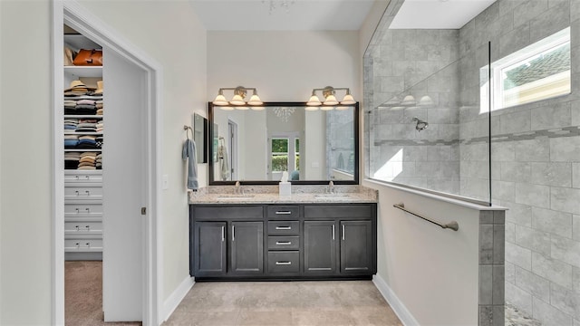 11825 Frost Aster Dr, Riverview, FL 33579 - bathroom with double vanity, healthy amount of natural light, and a walk in shower