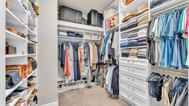 11825 Frost Aster Dr, Riverview, FL 33579 - walk in closet featuring light carpet